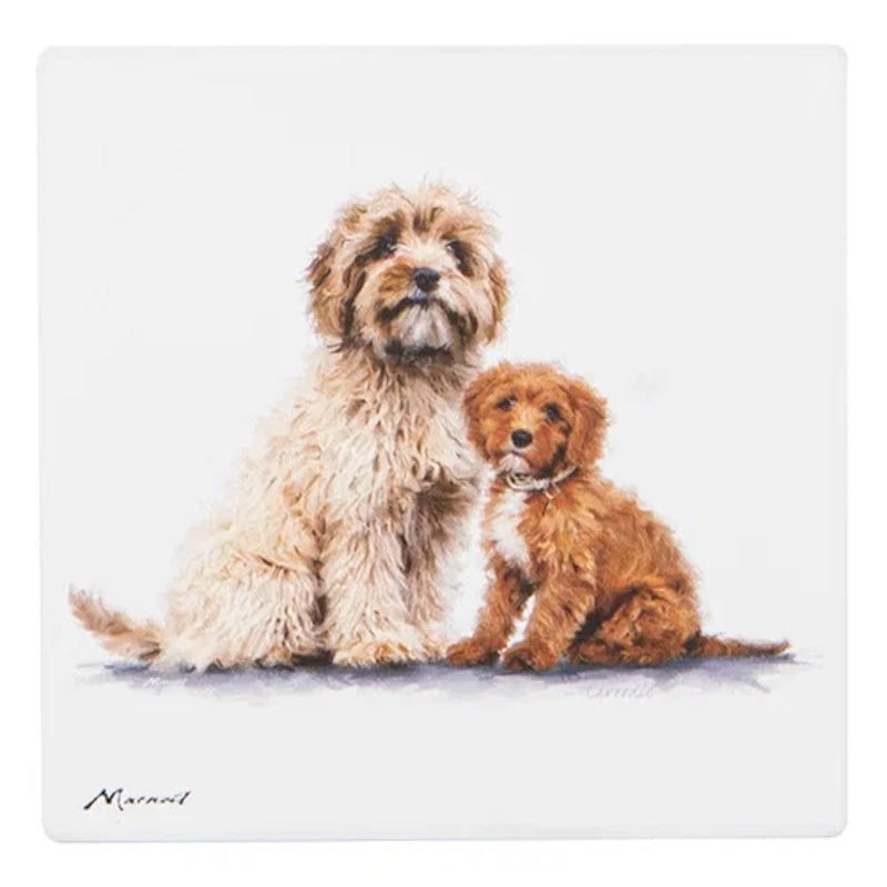 Ashdene Puppy Love Cavoodle Ceramic Coaster