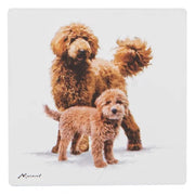 Ashdene Puppy Love Groodle Ceramic Coaster