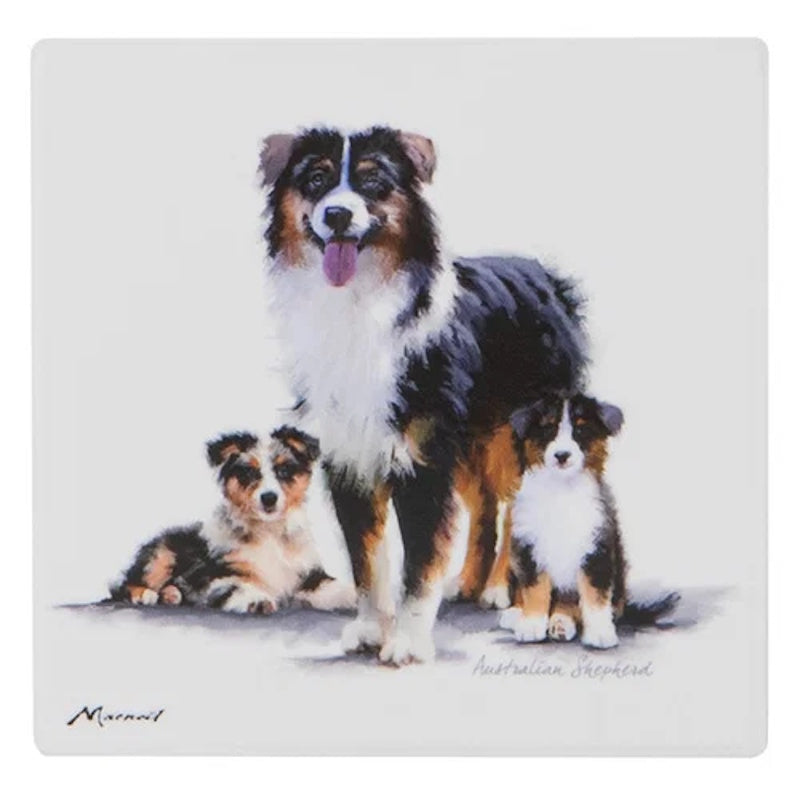 Ashdene Puppy Love Australian Shepherd Ceramic Coaster