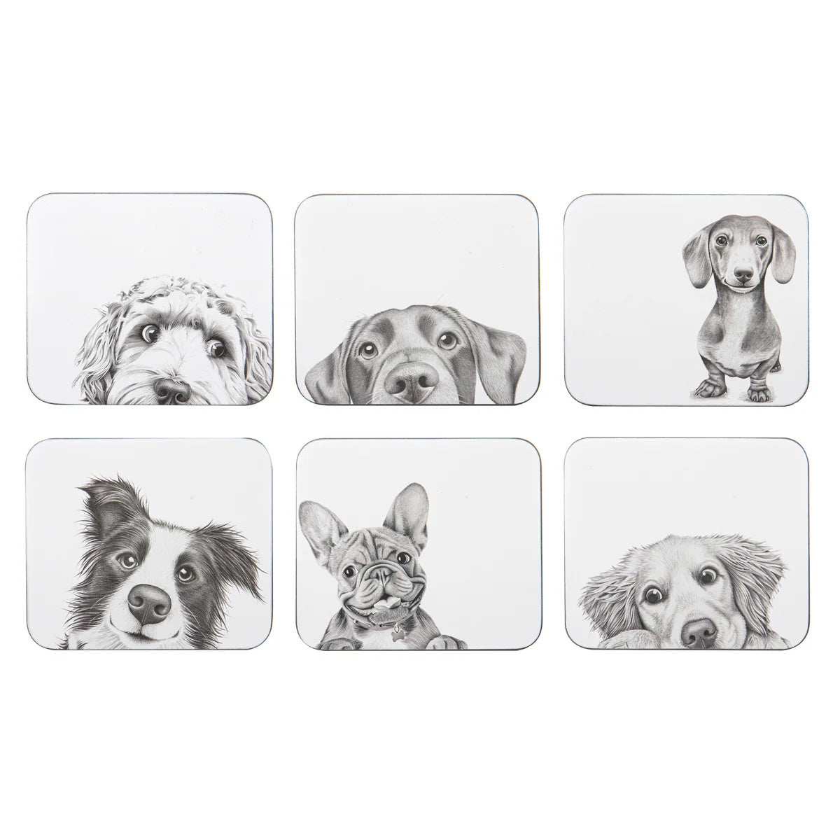 Ashdene Peeking Pups 6pk Coaster