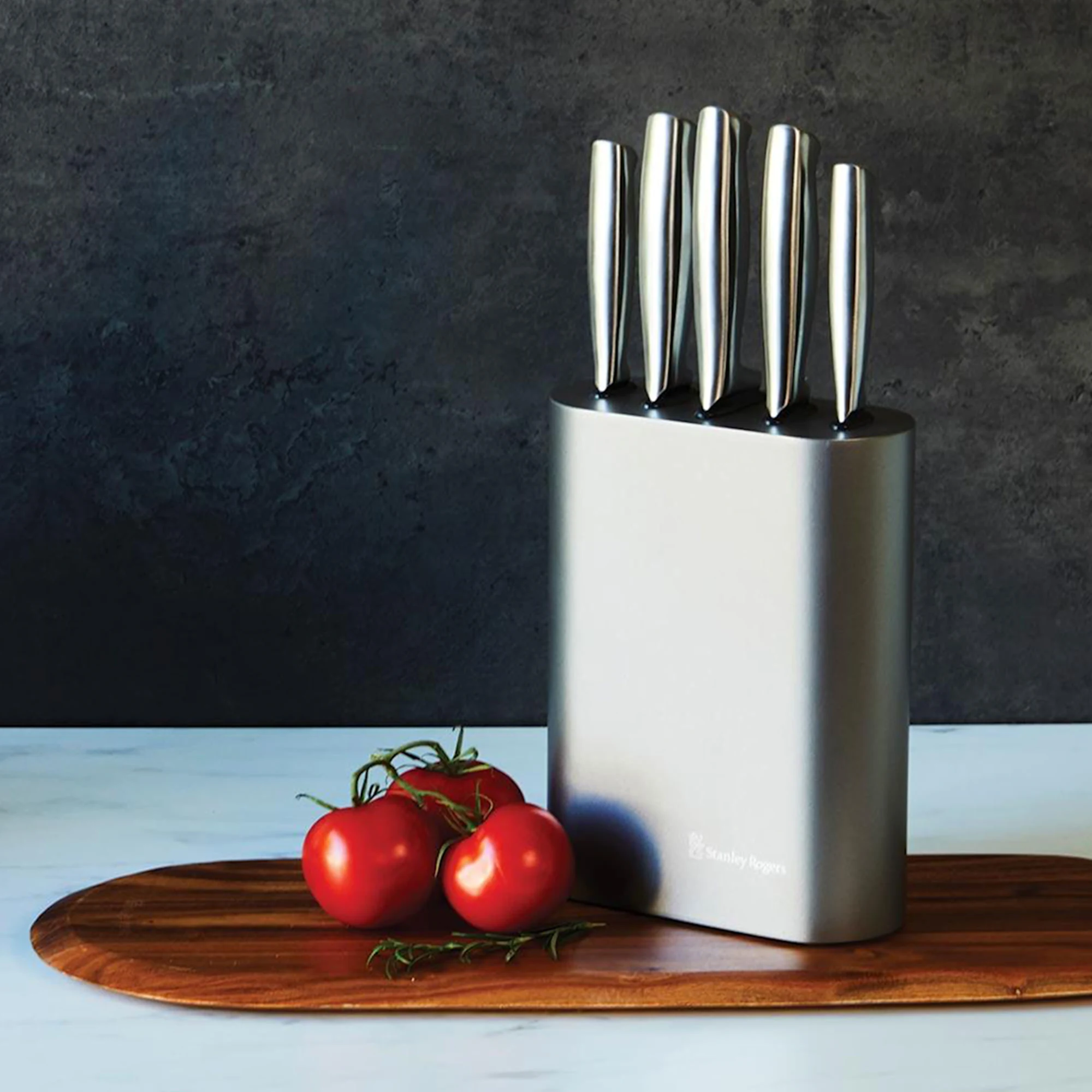 Stanley Rogers 6pc Oval Vertical Metallic Knife Block Set Pewter