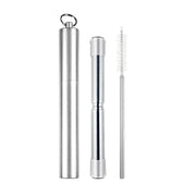 Avanti Telescopic Travel Straw Silver