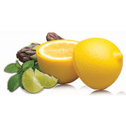 Avanti Lemon Saver
