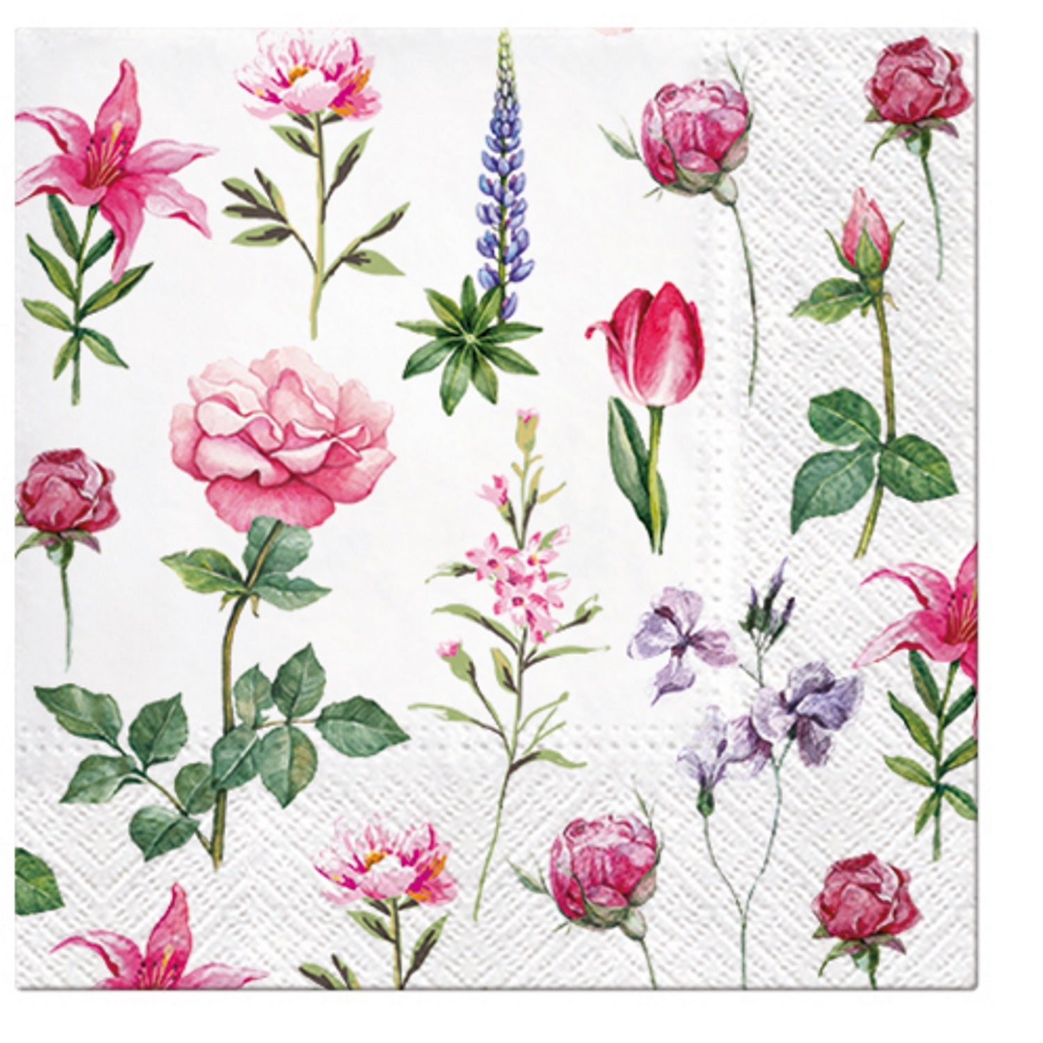 Paw Lunch Napkins 33cm BOONS OF GARDEN