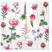 Paw Lunch Napkins 33cm BOONS OF GARDEN