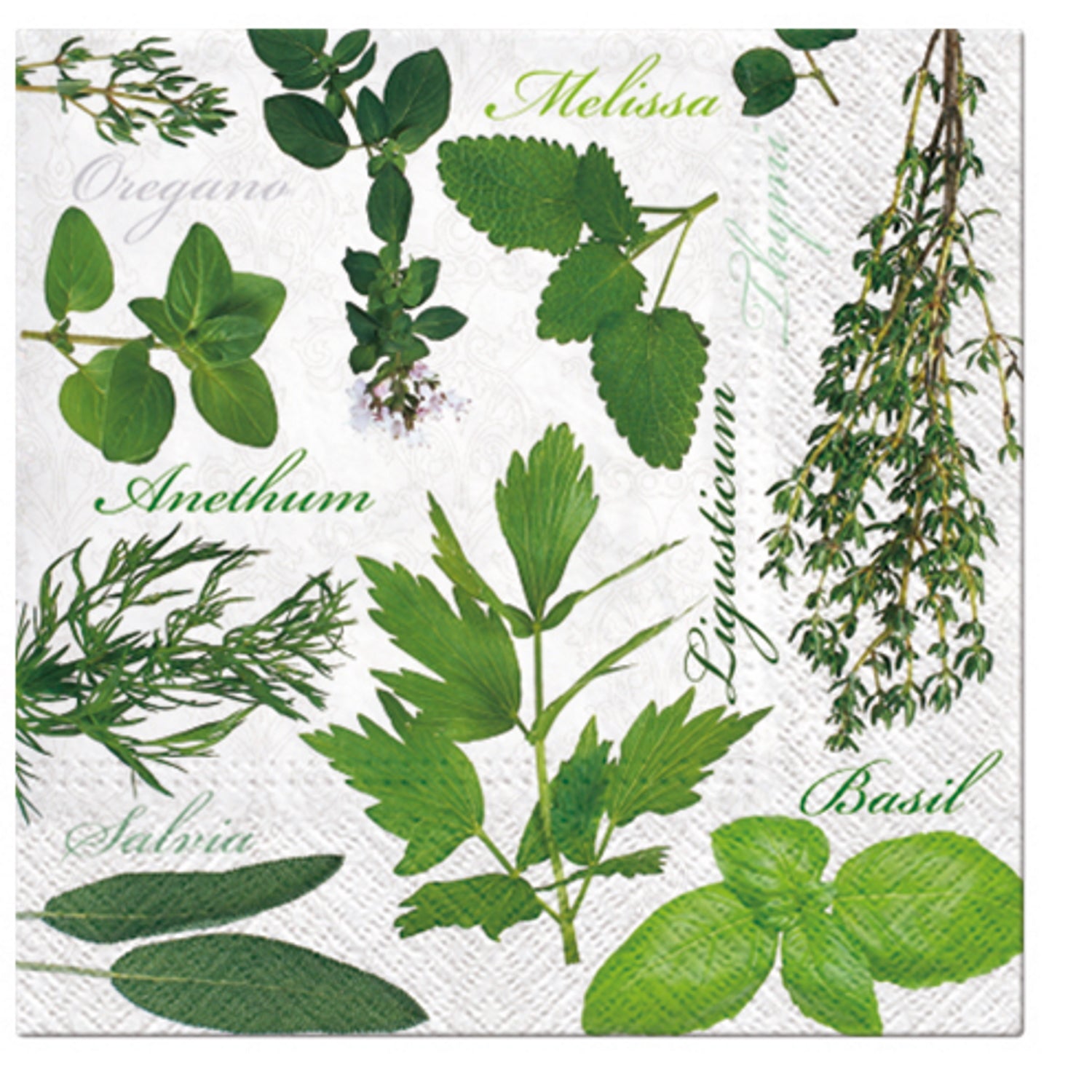 Paw Lunch Napkins 33cm HERBAL TASTE