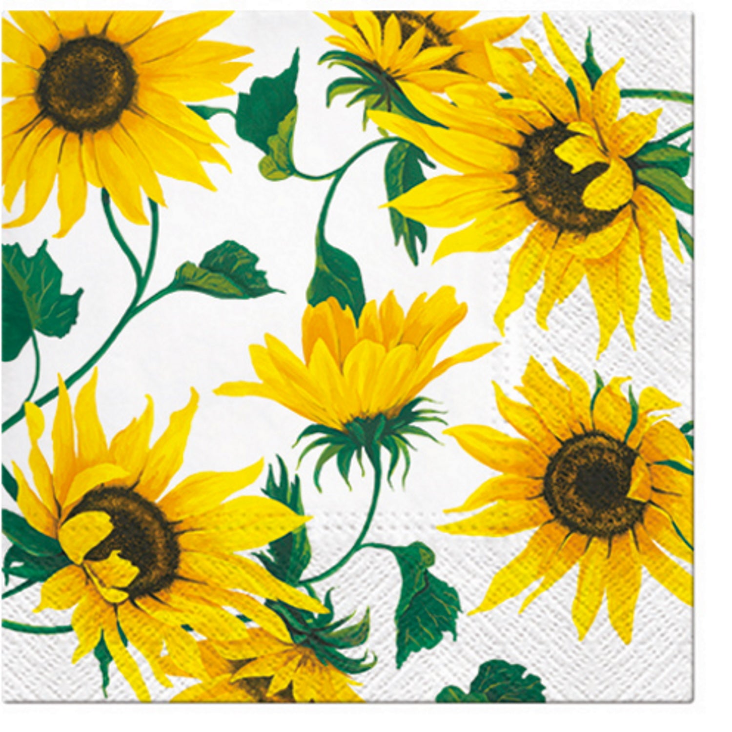 Paw Lunch Napkins 33cm LAST SCENT SUMMER - Pack of 20