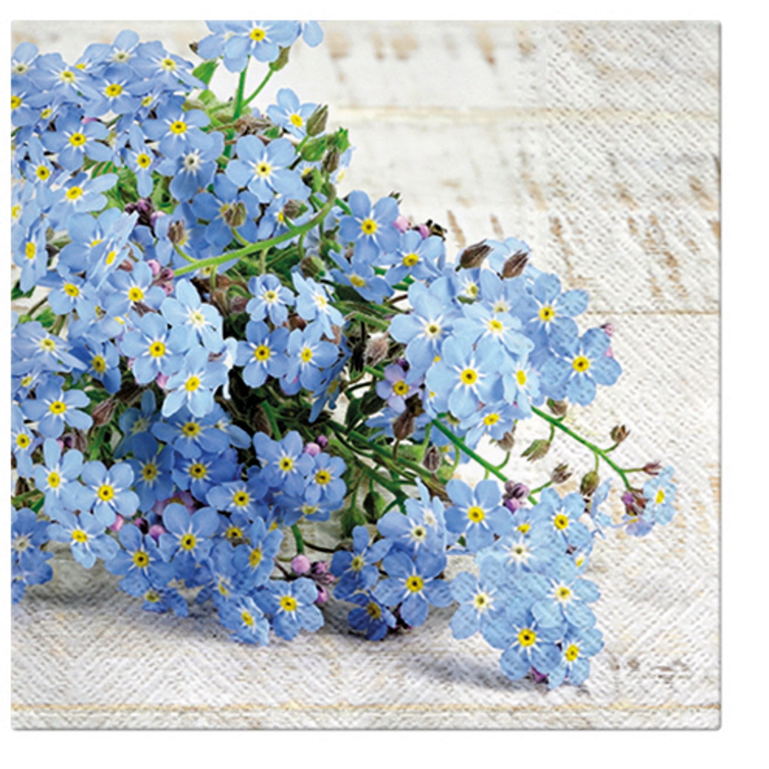 Paw Lunch Napkins 33cm FORGET ME NOT - Pack of 20