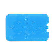 Avanti Gel Ice Brick Set of 2