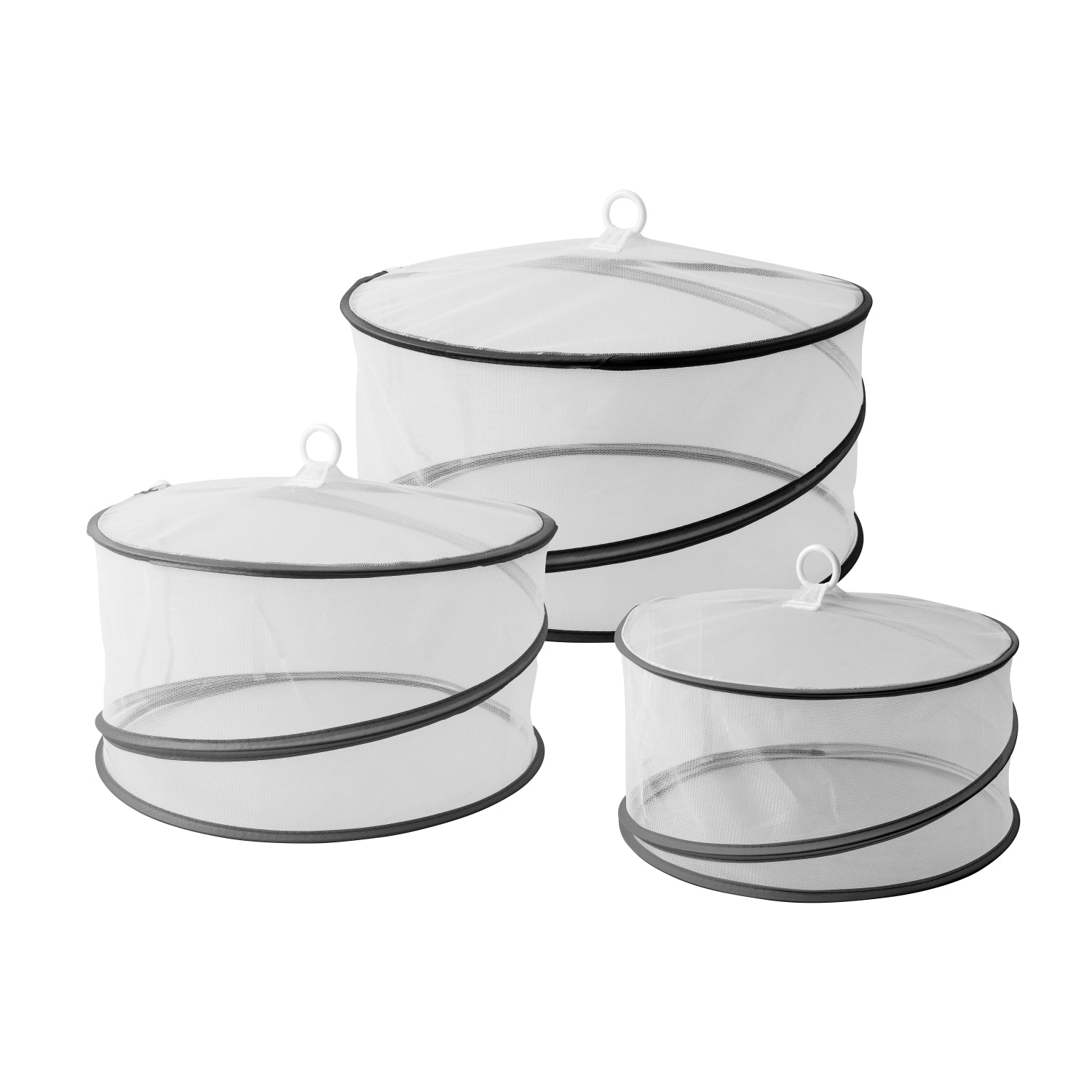 Avanti Pop Up Food Covers