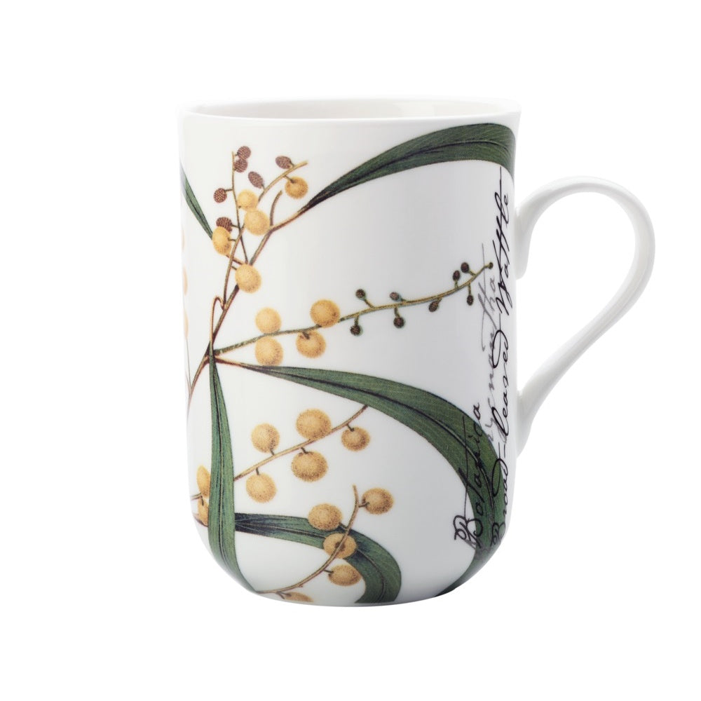 Maxwell Williams Royal Botanic Gardens Australian Botanics Mug Wattle 300ML Gift Boxed