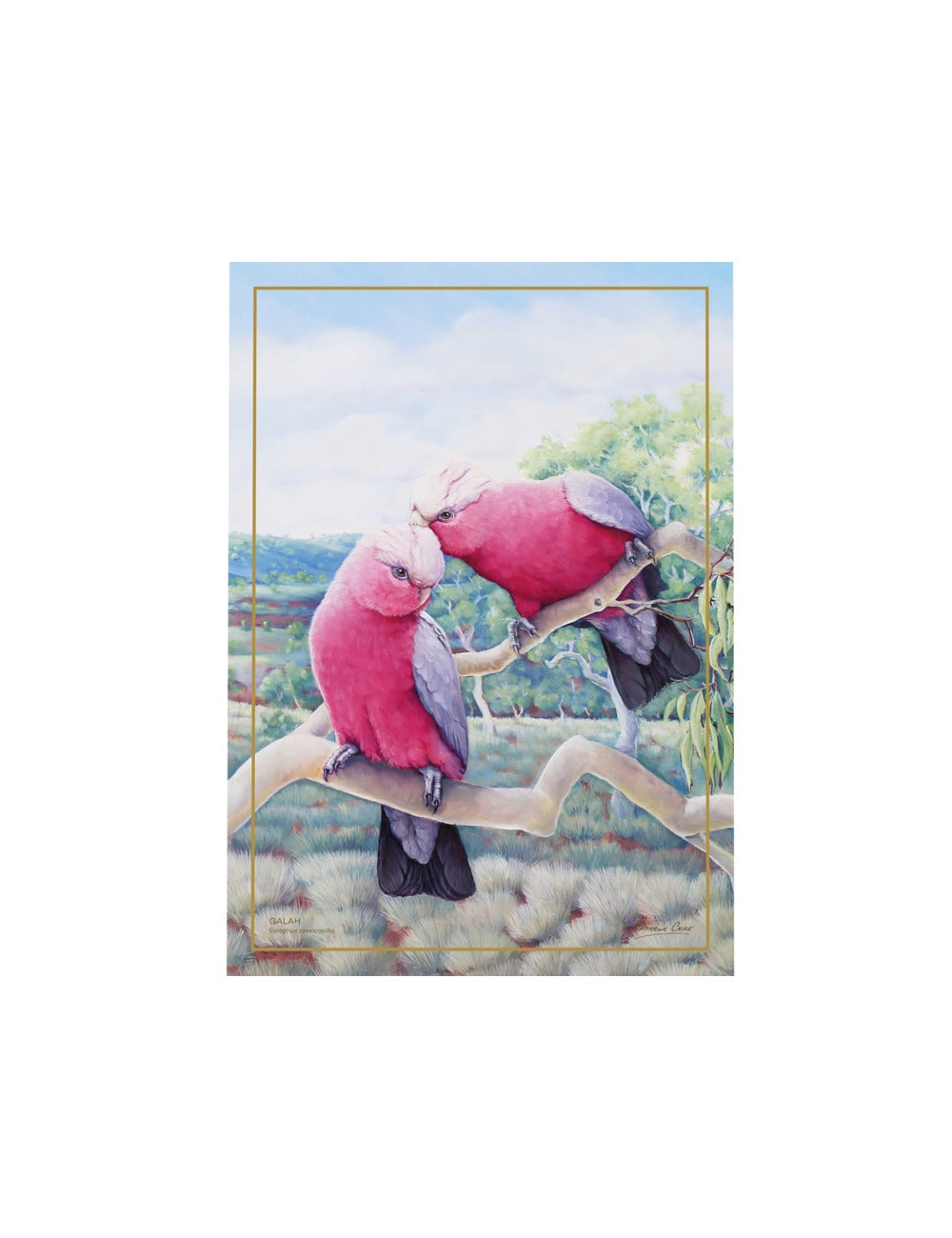 Maxwell & Williams Birds of Australia KC 10yr Anniversary Tea Towel 50x70cm Galah