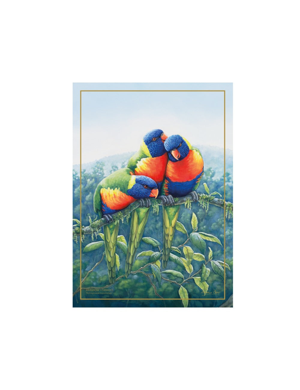 Maxwell & Williams Birds of Australia KC 10yr Anniversary Tea Towel 50x70cm Lorikeet