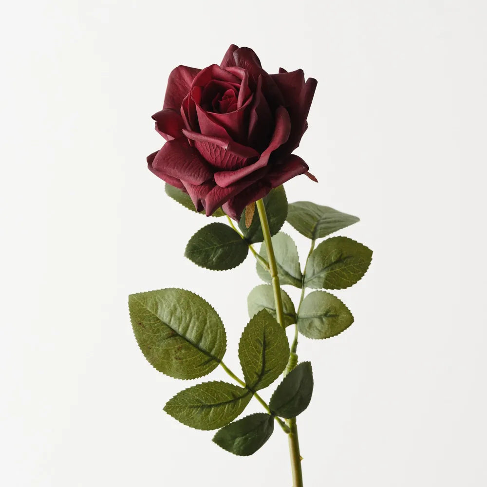 Floral Interiors Bettina Rose Black Plum