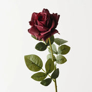 Floral Interiors Bettina Rose Black Plum