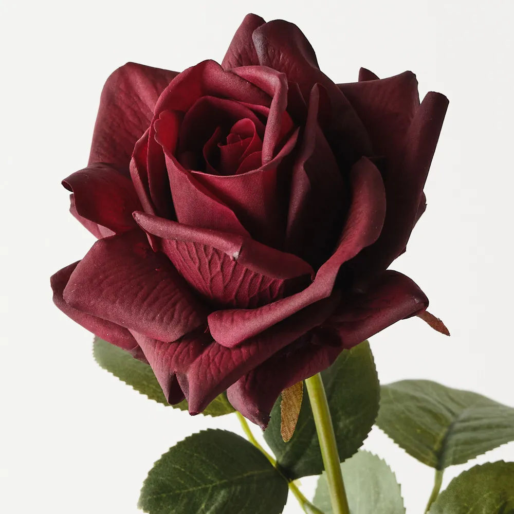 Floral Interiors Bettina Rose Black Plum