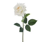 Floral Interiors Hannah Rose Ivory