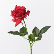 Floral Interiors Kim Rose Red