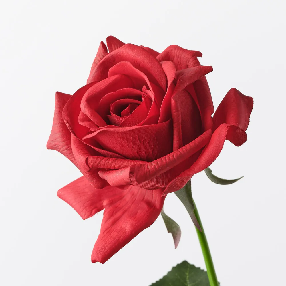 Floral Interiors Kim Rose Red