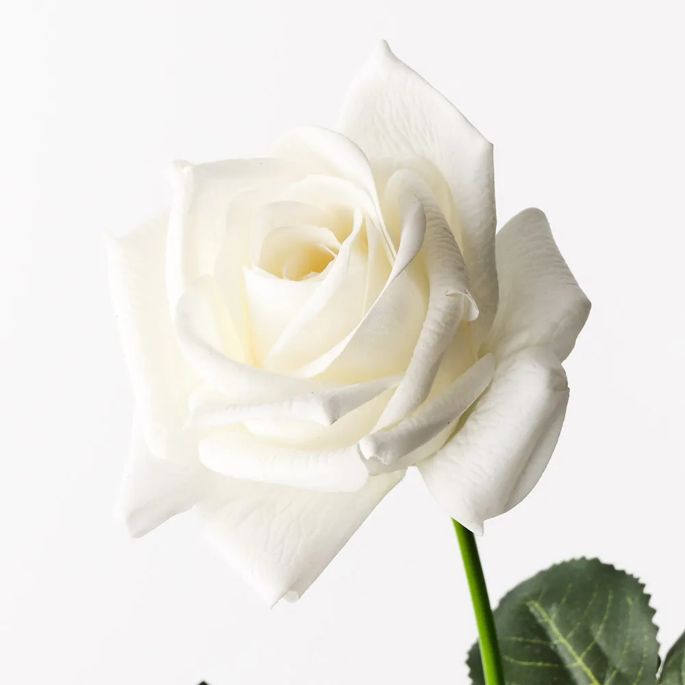 Floral Interiors Kim Rose White