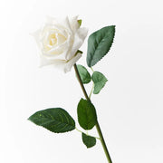 Floral Interiors Lola Rose White