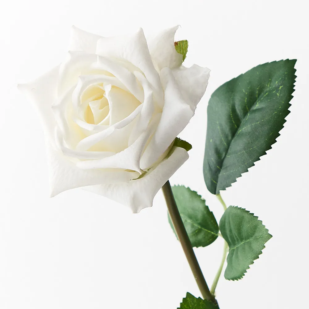 Floral Interiors Lola Rose White