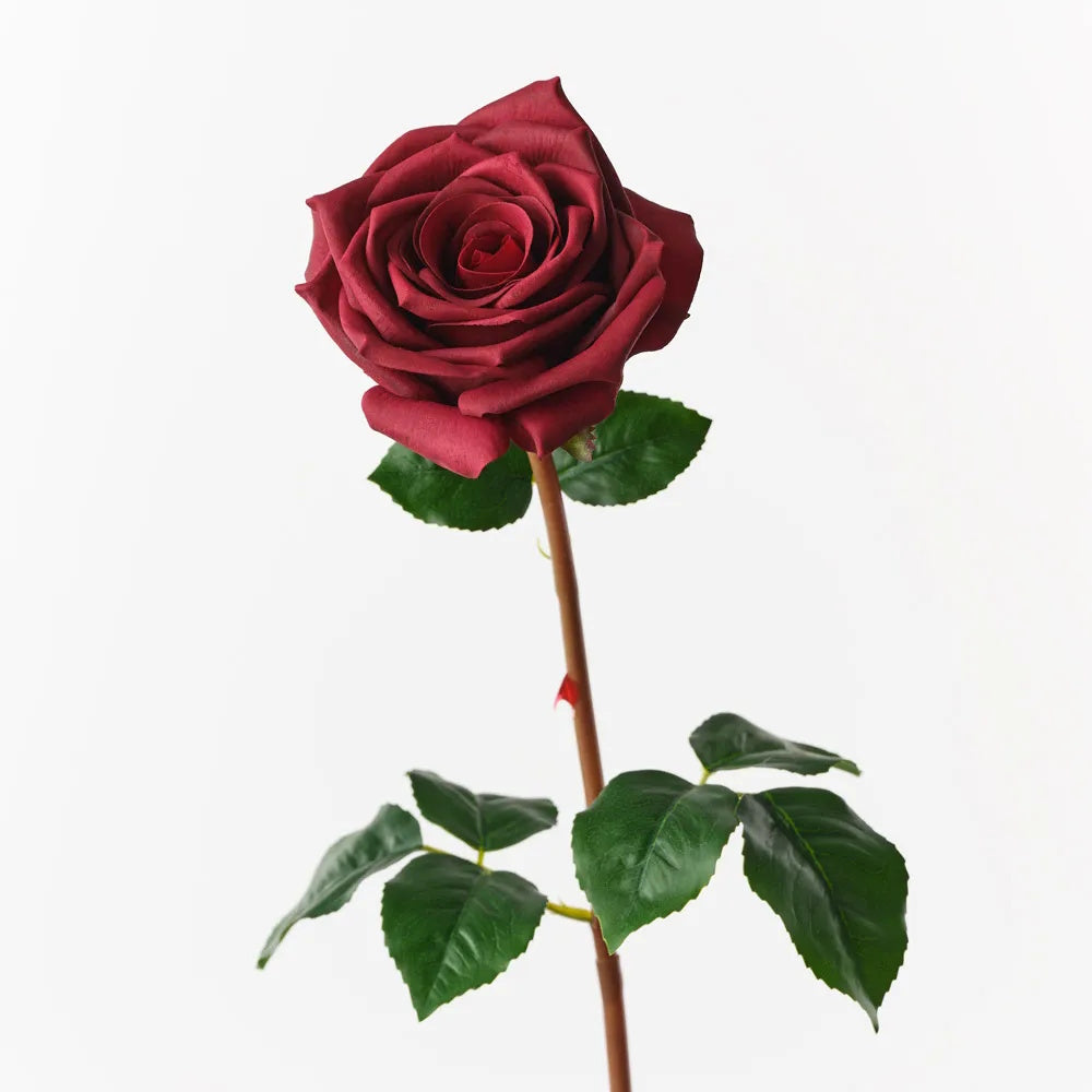 Floral Interiors Olivia Rose Burgundy