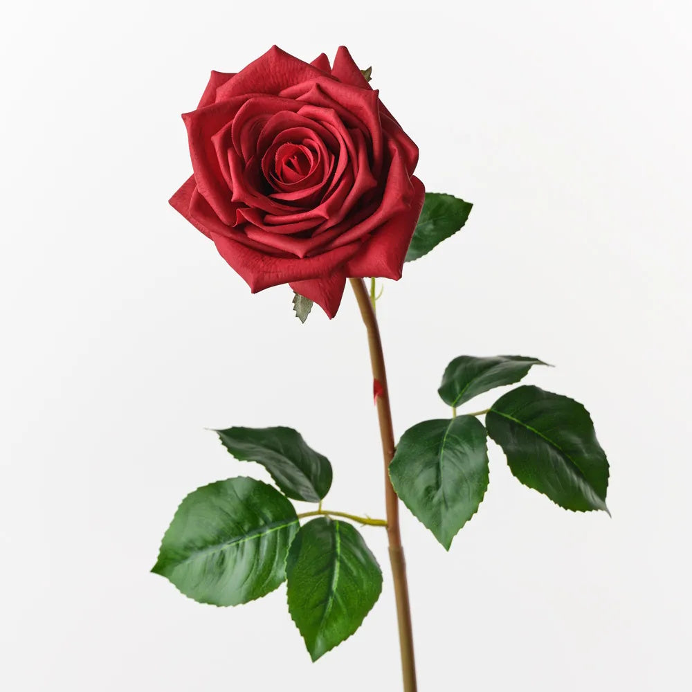 Floral Interiors Olivia Rose Red