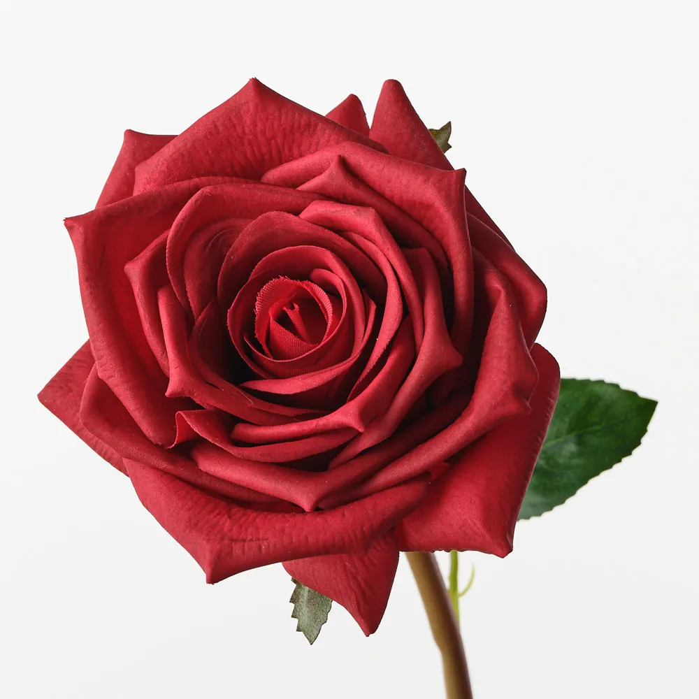 Floral Interiors Olivia Rose Red