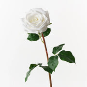 Floral Interiors Olivia Rose White