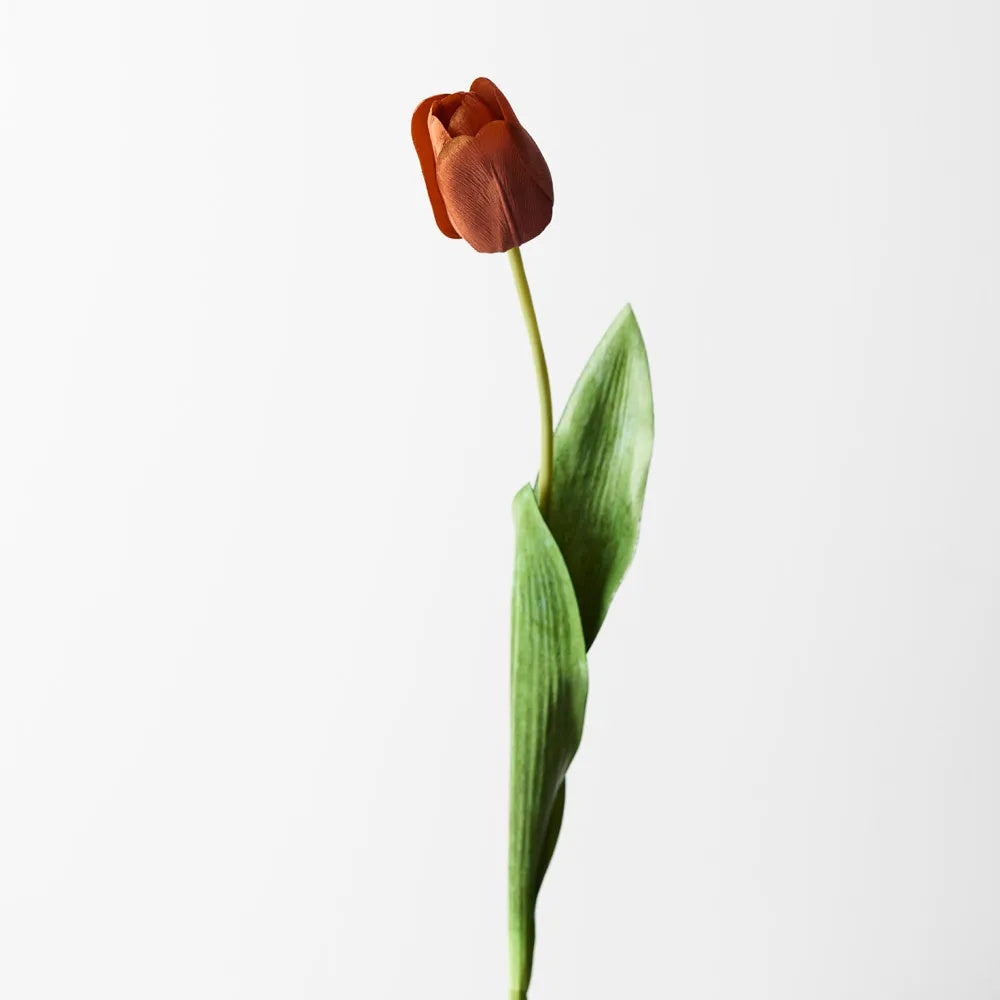 Floral Interiors Tulip Rust