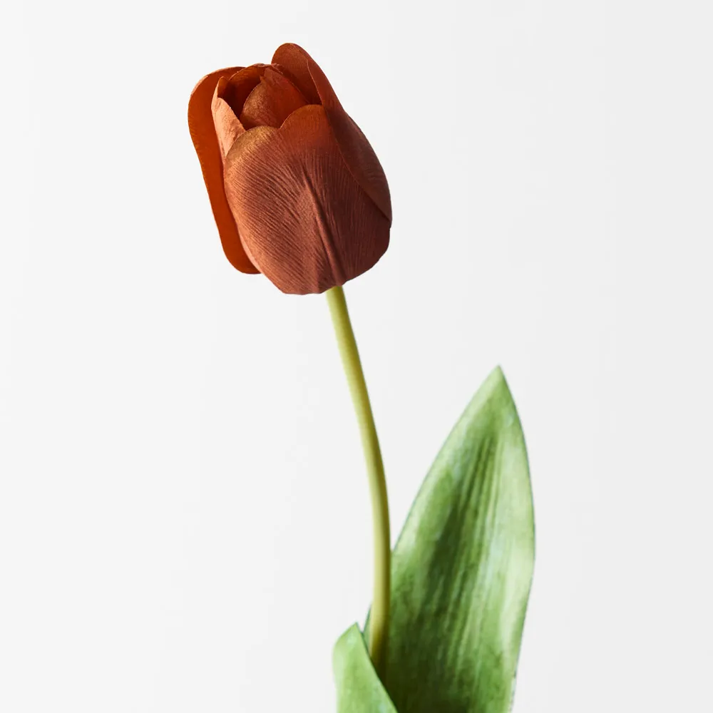 Floral Interiors Tulip Rust