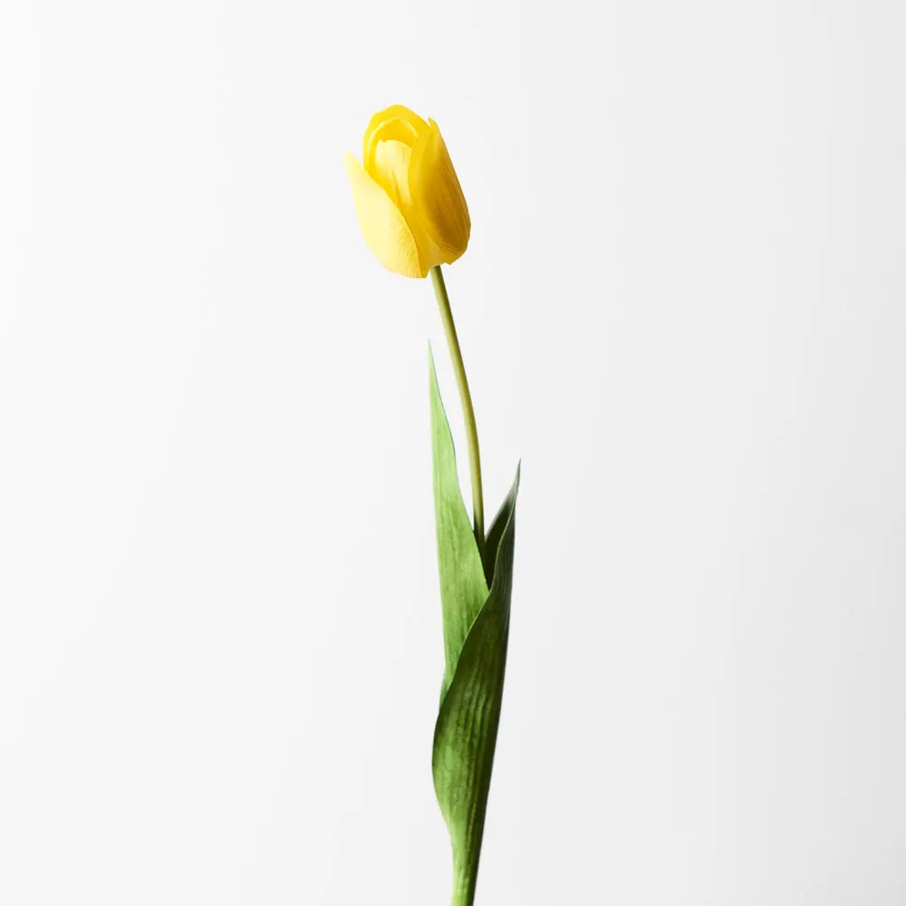 Floral Interiors Tulip Yellow