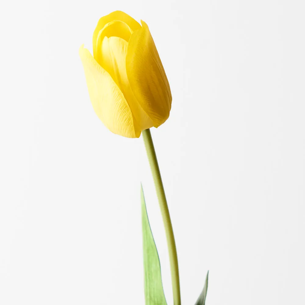 Floral Interiors Tulip Yellow