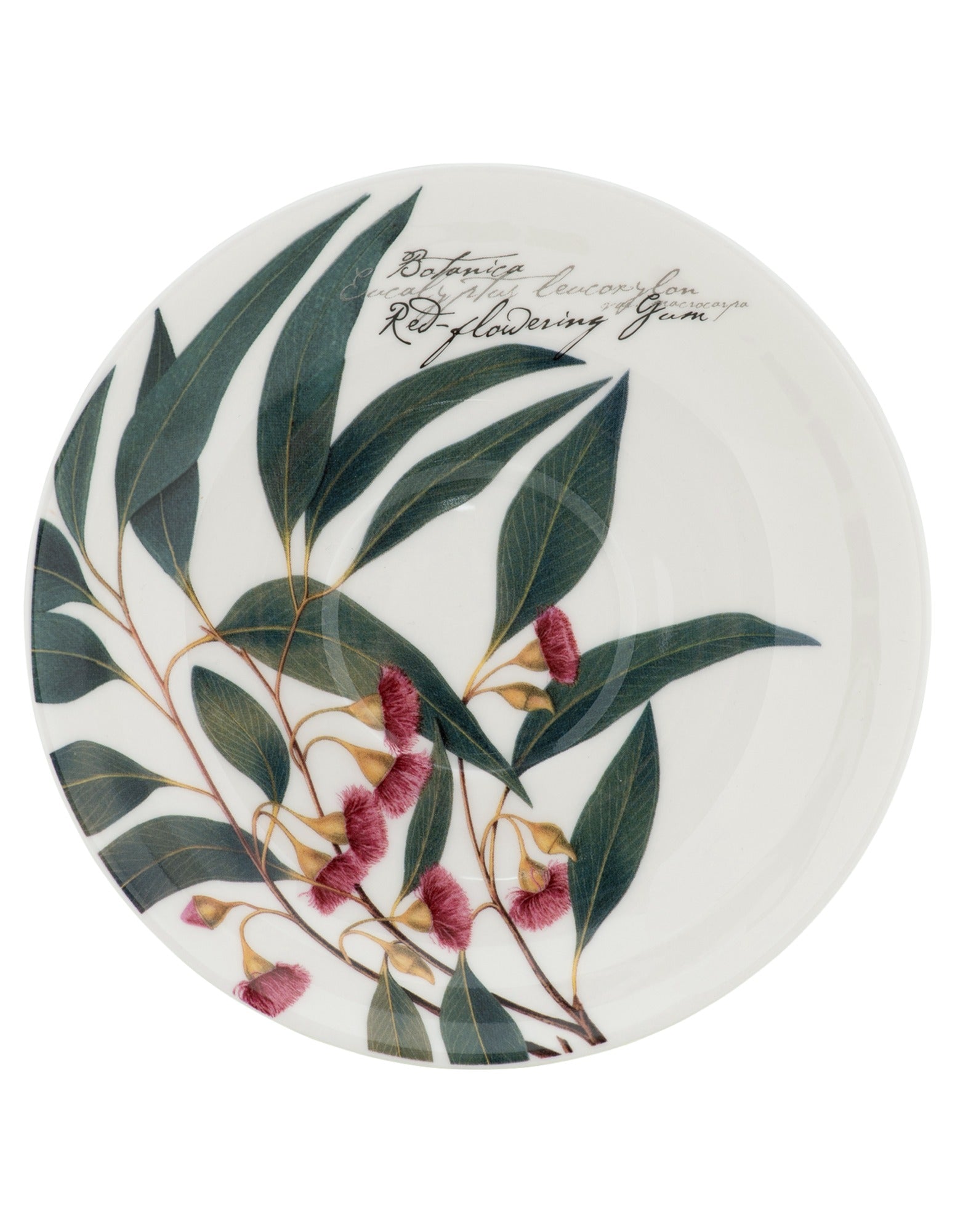 Maxwell & Williams Australian Botanics Breakfast Cup & Saucer 450ML Flowering Gum