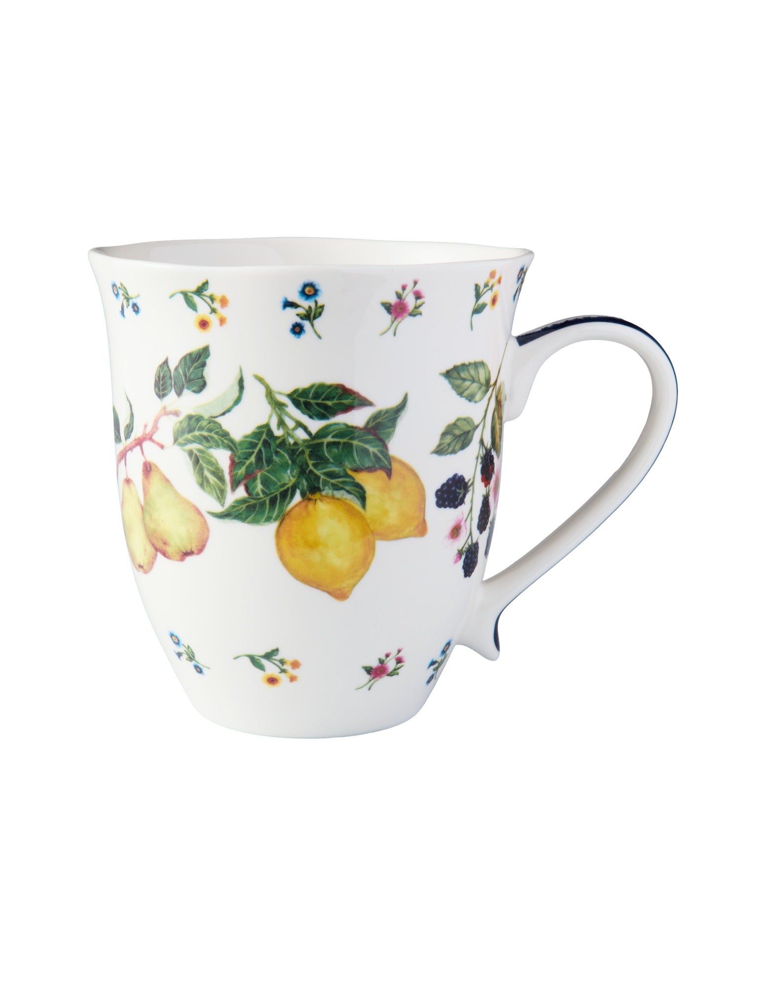 Casa Domani Frutta Scallop Coupe Mug 440ml