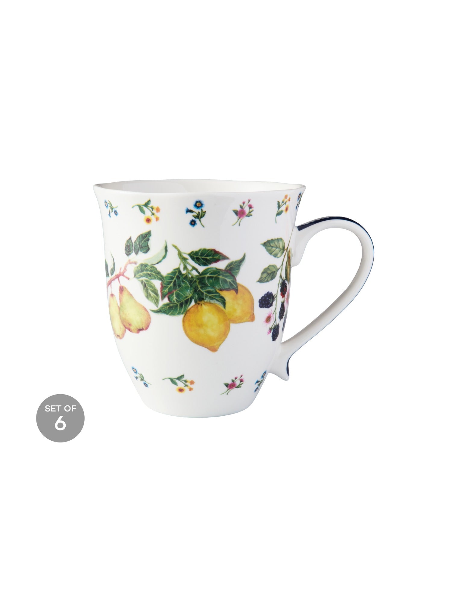 Casa Domani Frutta Scallop Coupe Mug 440ml