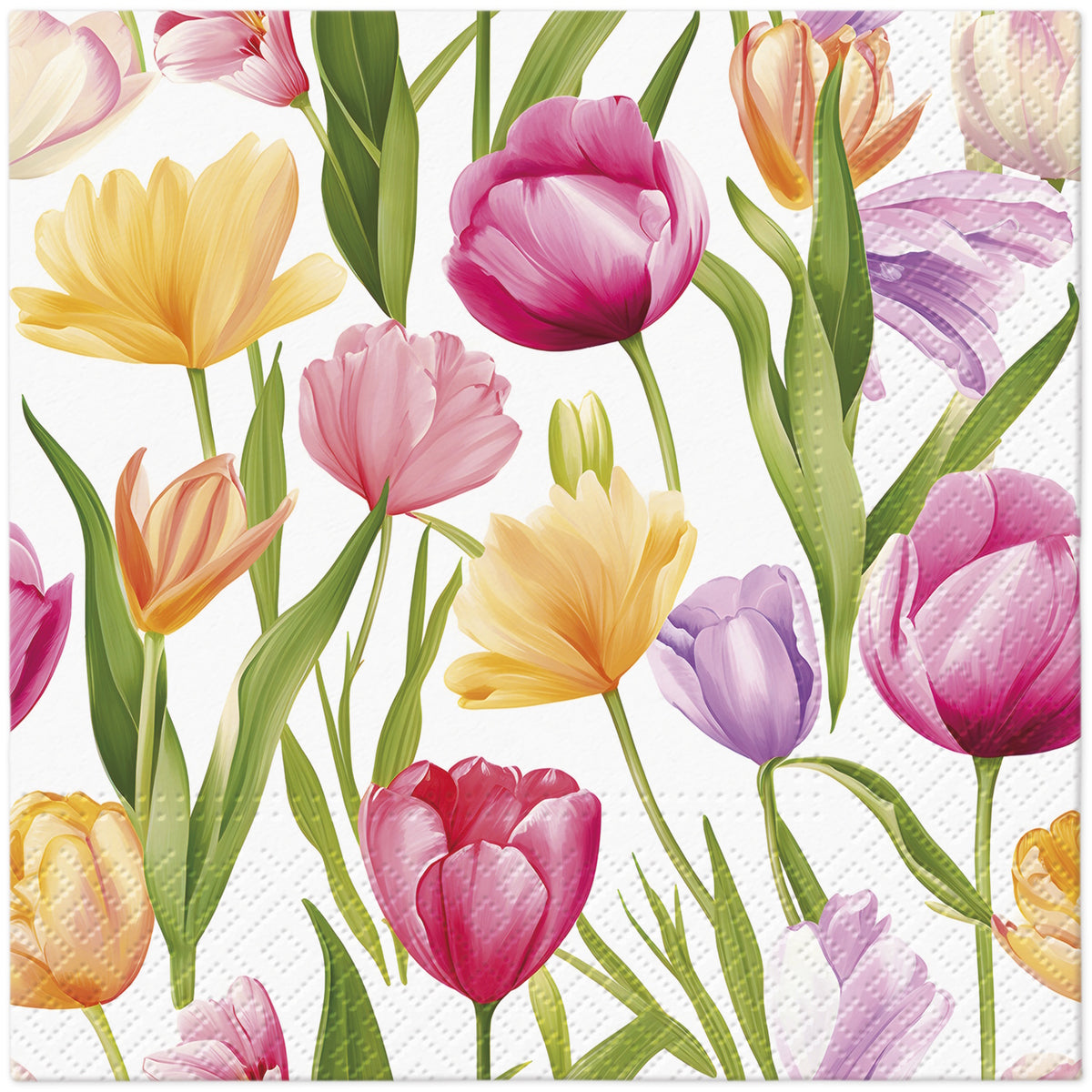 PAW Napkins 33x33cm Pack of 20 | Tulip Dream