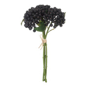 Rogue Blueberry Bunch Purple