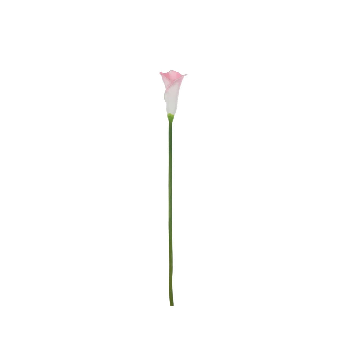 Rogue Calla Lily Stem Pink