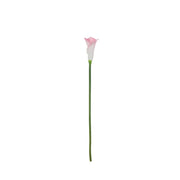Rogue Calla Lily Stem Pink