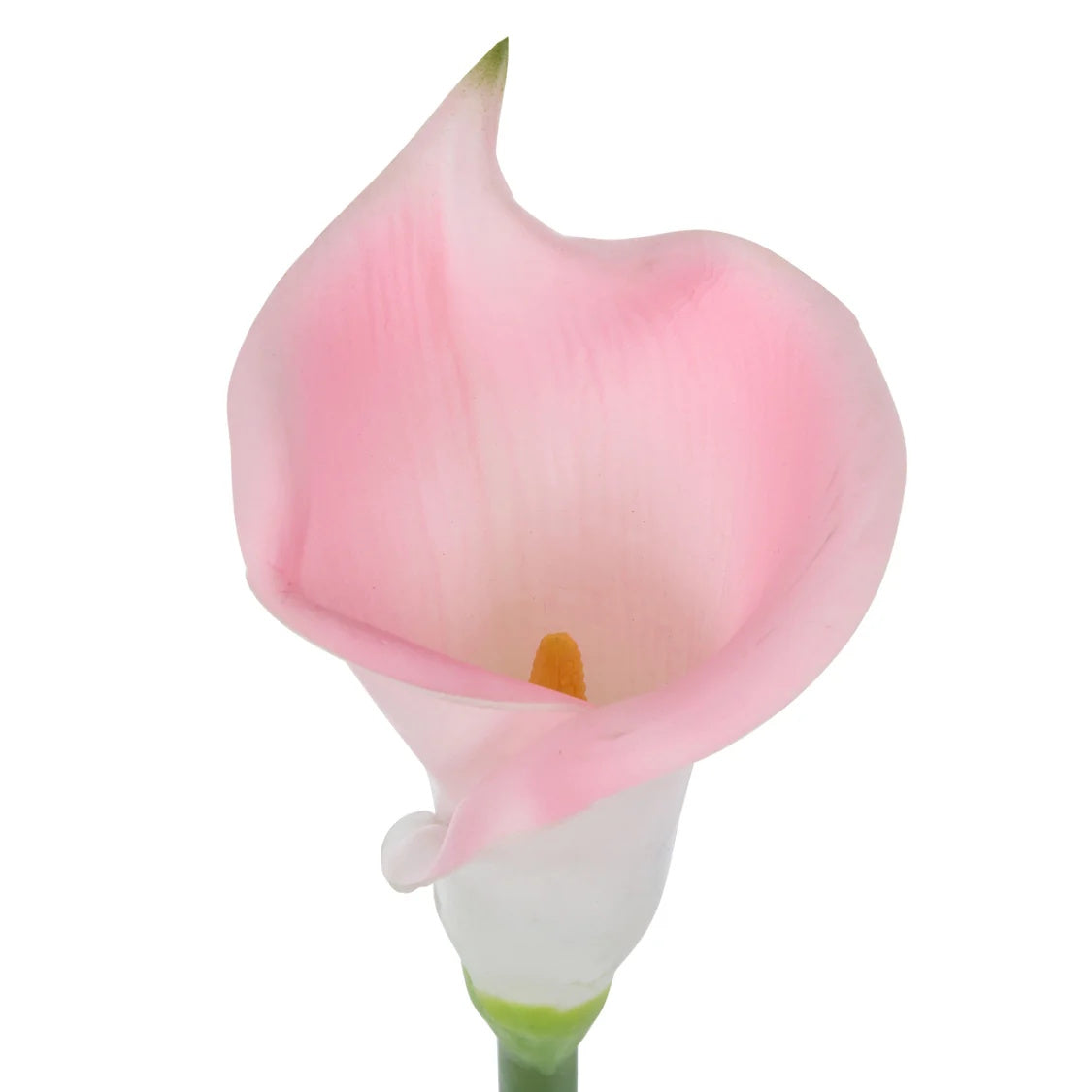 Rogue Calla Lily Stem Pink