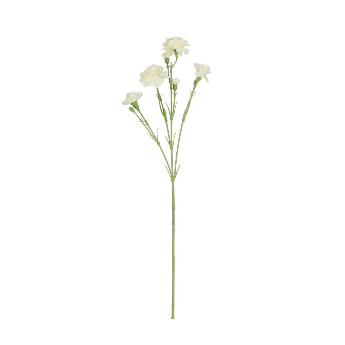 Rogue Carnation Spray Ivory