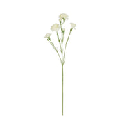 Rogue Carnation Spray Ivory
