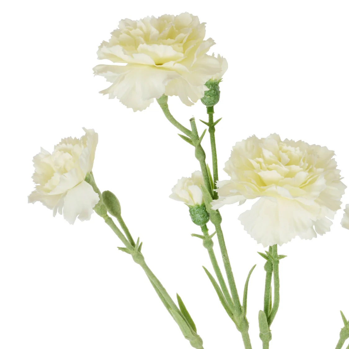 Rogue Carnation Spray Ivory