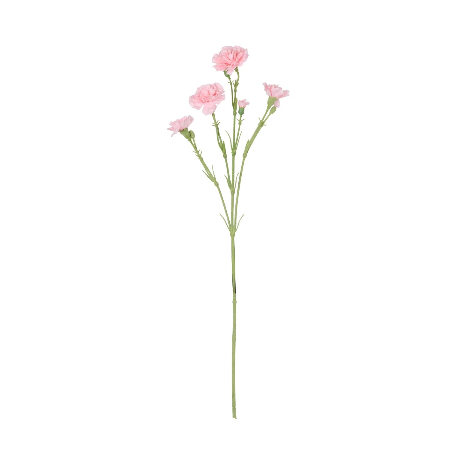 Rogue Carnation Spray Light Pink