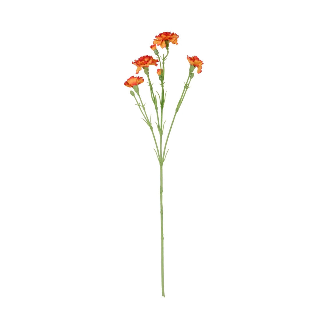 Rogue Carnation Spray Orange