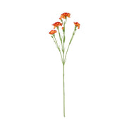 Rogue Carnation Spray Orange