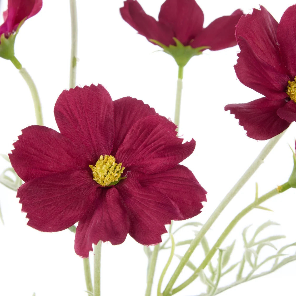 Rogue Cosmos Flower Spray Burgundy