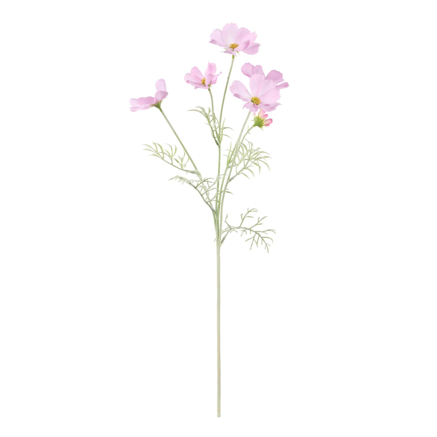Rogue Cosmos Flower Spray Light Pink